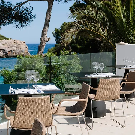 酒店 Alua Soul Mallorca (adults Only) 4*